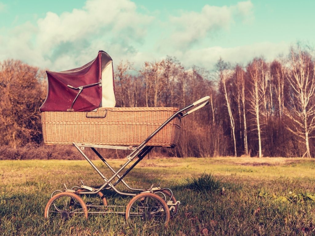 Top Best Baby Stroller Wagons