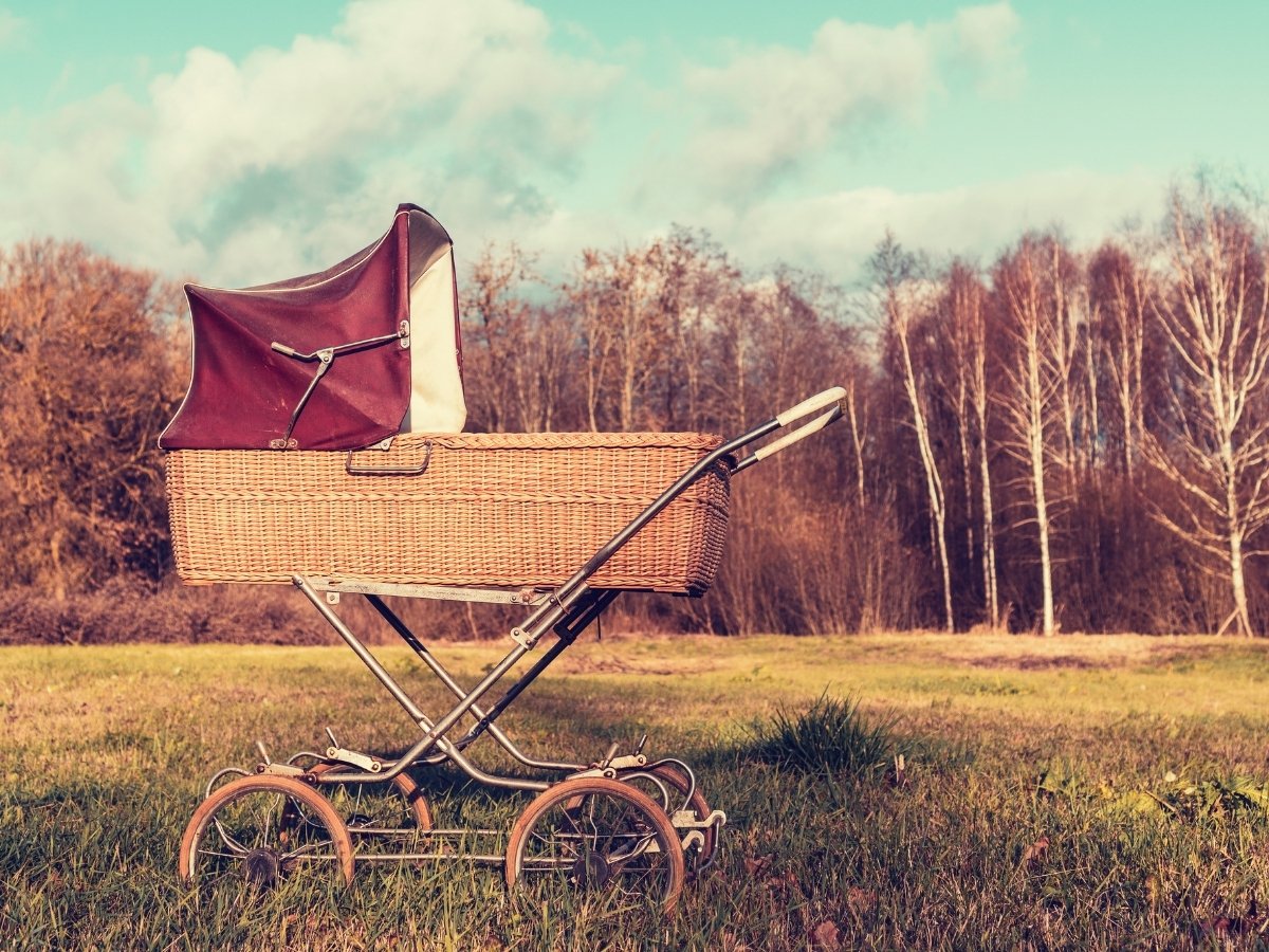 Top Best Baby Stroller Wagons