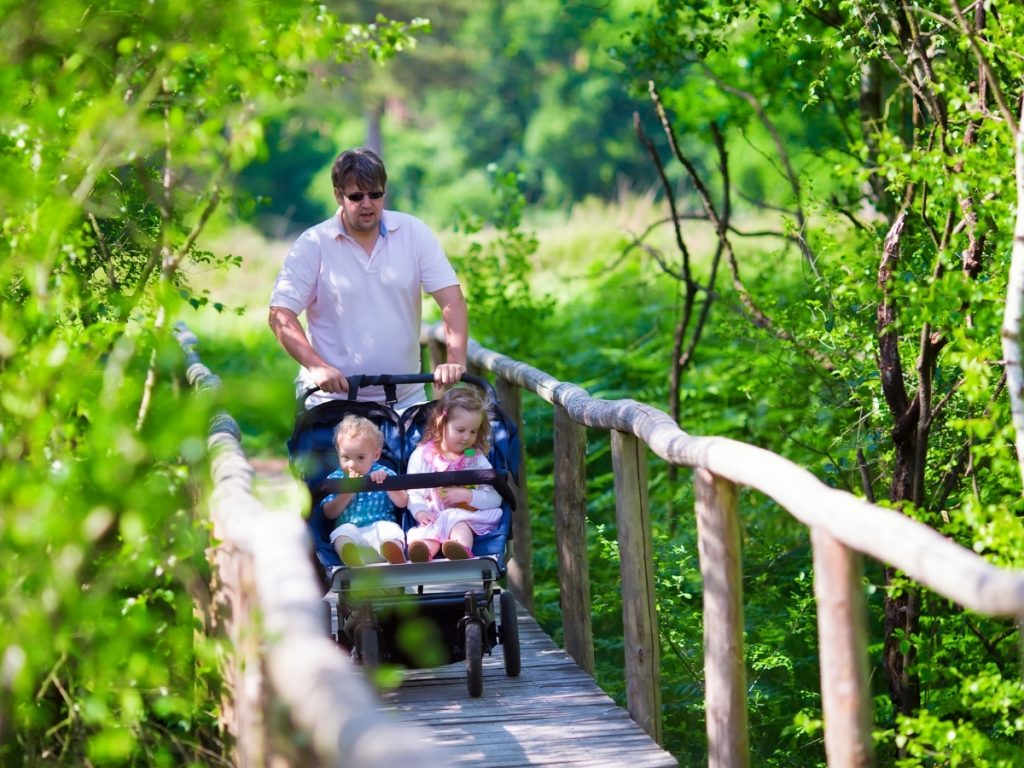 Top Best Double Baby Strollers
