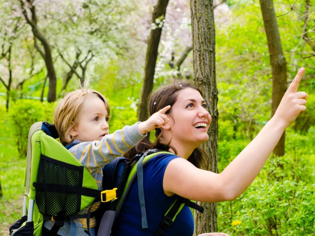Top Best Baby Backpack And Frame Carriers