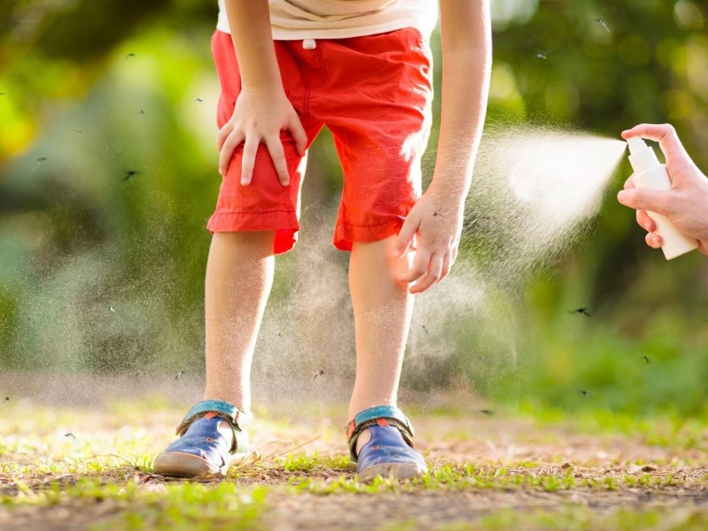 Best Ways to Protect the Baby Against Mosquito
