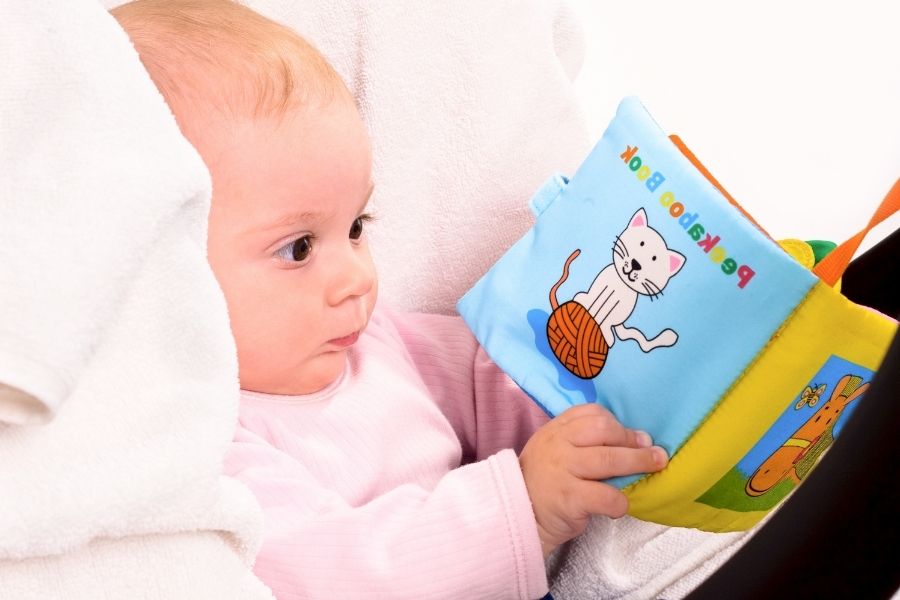 Top 10 Best Baby Carrier Accessories Reviews Of Dec 2022 25 Baby Carrier Accessories to Make Baby Carriers More Friendly