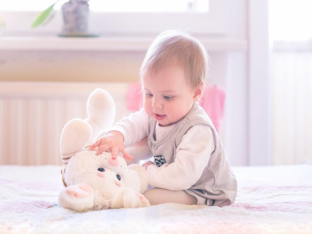 Best Baby Plush Toys Reviews and Buying Guide