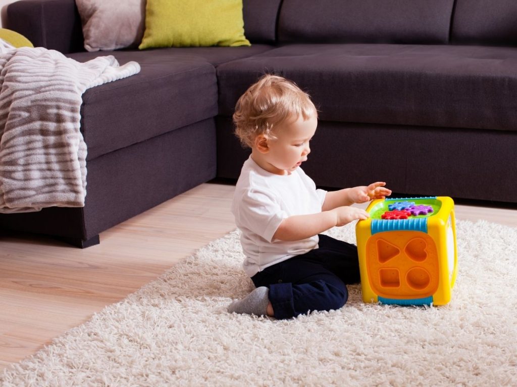 Best Baby Sorters Reviews and Buying Guide