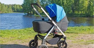 Top Best Bassinet Baby Strollers