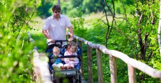 Top Best Double Baby Strollers