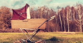 Top Best Baby Stroller Wagons
