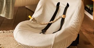 Top Best Infant Car Seat Storages