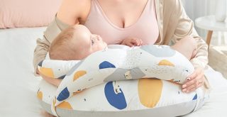 Top 10 Best Nursing Pillows