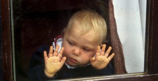 Top 10 Best Baby Window Safety Products