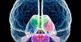 Cerebral Palsy in Newborn Babies