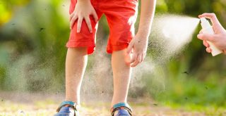 Best Ways to Protect the Baby Against Mosquito